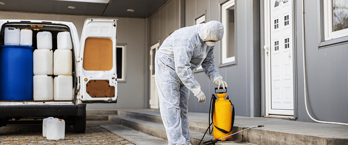 termite control specialist